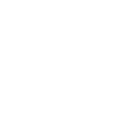 Iesb_.png